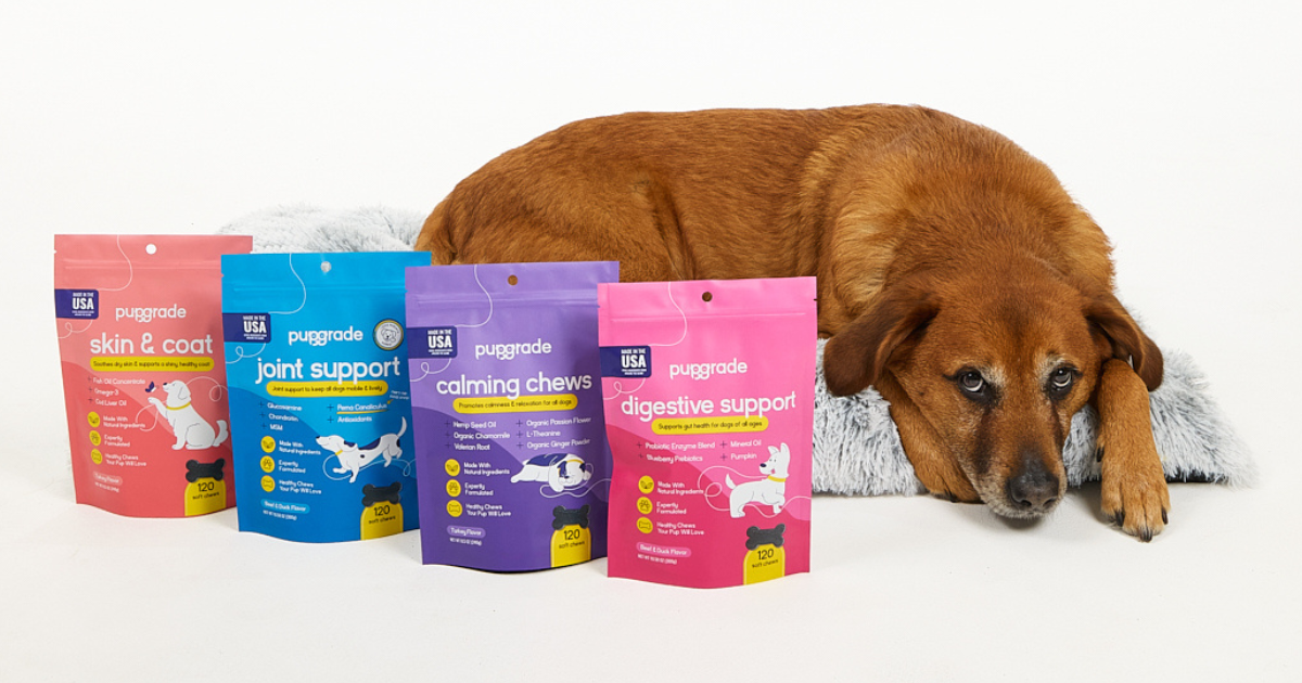 A brown dog lies next to four packets of "PUPGRADE" dog supplements: skin & coat, joint support, calming support, and digestive support.