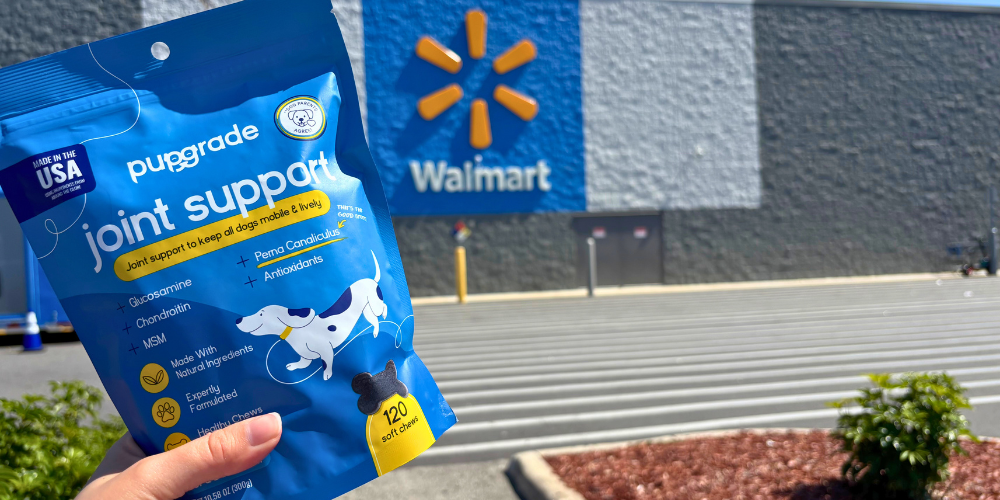PupGrade blue joint support bag in front of a Walmart store
