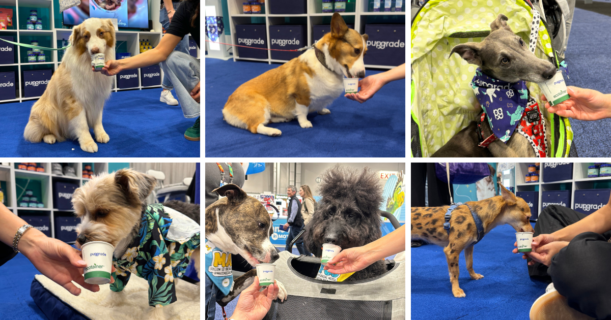 a photo collage of various dogs eating a pup cup at the PupGrade booth