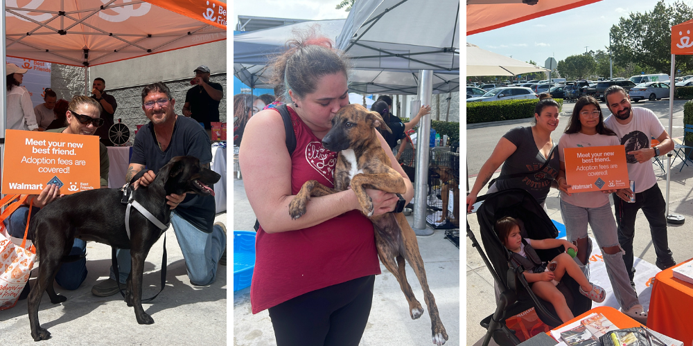 Three photos from the Miami pet adoption event showing families and individuals with their newly adopted dogs under Best Friends Animal Society tents, holding signs that read “Meet your new best friend. Adoption fees are covered.”