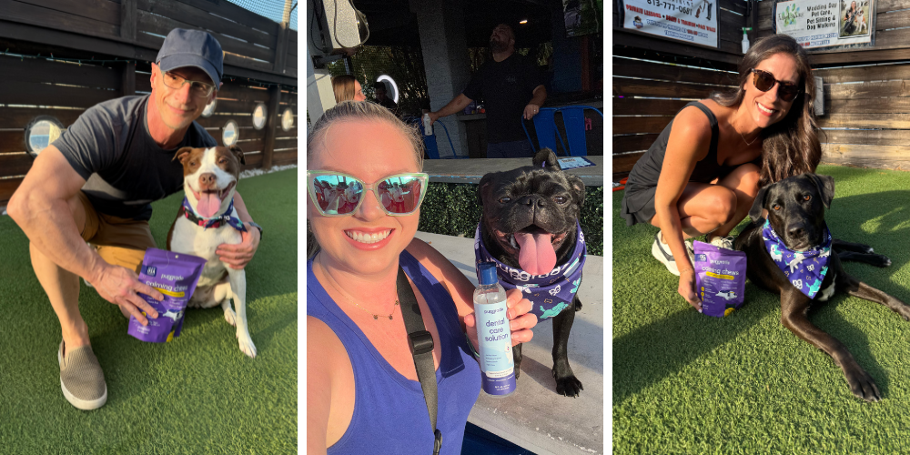 Three panels showing people with their dogs and various Pupgrade dental care products outdoors on artificial turf. The left panel shows a person holding dental chews with a white and brown dog. The center panel shows a person taking a selfie with a black French bulldog and dental rinse. The right panel shows a person sitting with a black dog and dental sticks.
