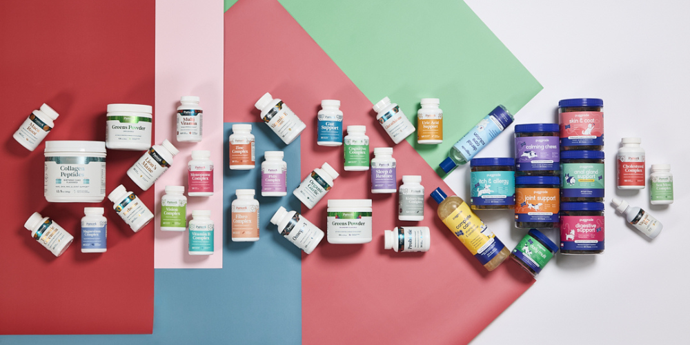 A vibrant flat lay of PupGrade and Pattern Wellness supplements against colorful backdrops, symbolizing a fun, unified approach to health for dogs and humans alike.