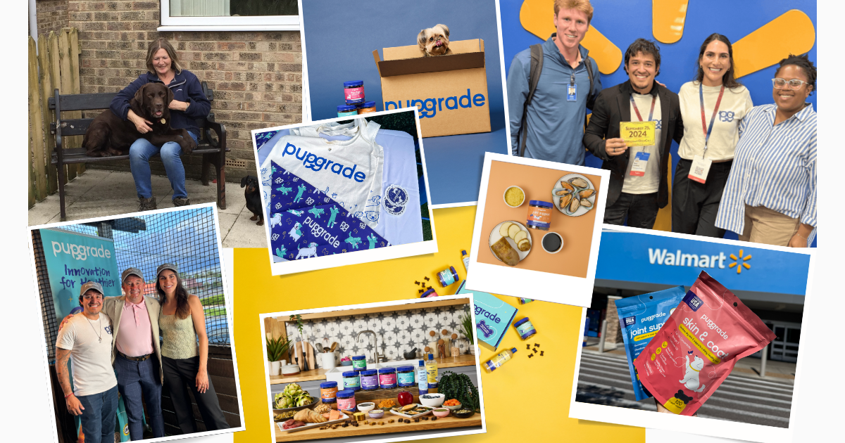 PupGrade origin story—founders’ family Labrador with product displays, milestone highlights, and retail expansion.