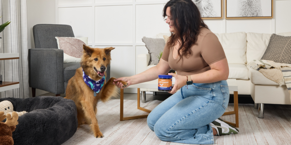 Young woman shaking the paw of her dog, holding PupGrade Joint Support, in their living room.