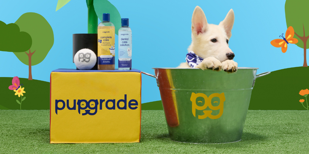 Clementine sitting in a PupGrade bucket, next to a lineup of PupGrade Complete Care Shampoo & Conditioner and PupGrade Dental Solution